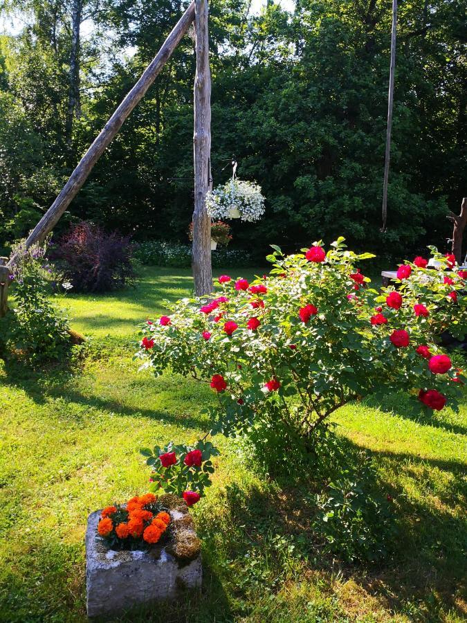 Kotka Farm Hotell Saarekula Eksteriør bilde